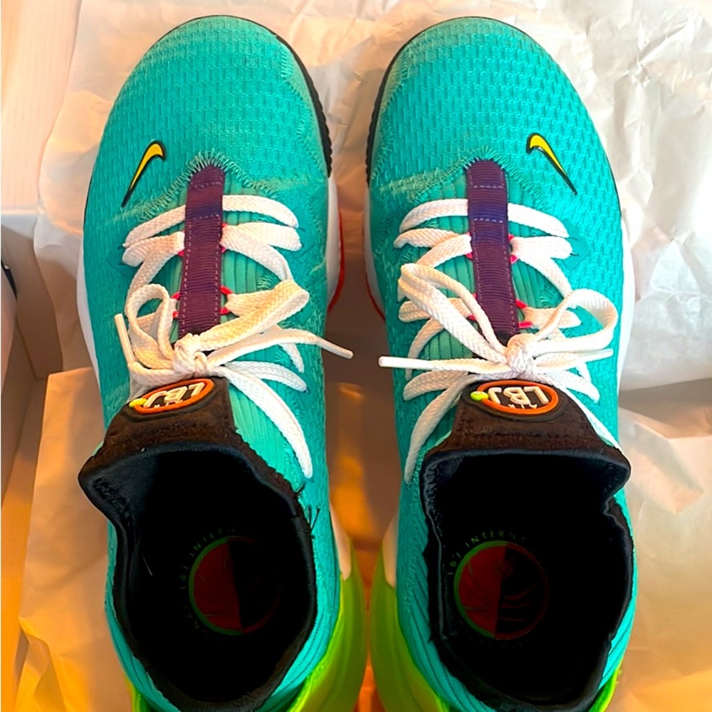 Mens Brand New with Box Lebron XVI Low